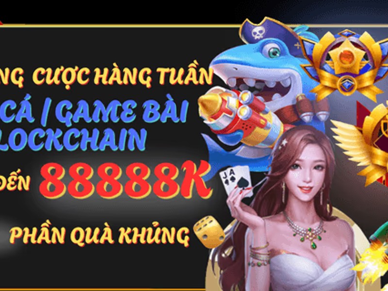 Nền tảng cá cược C