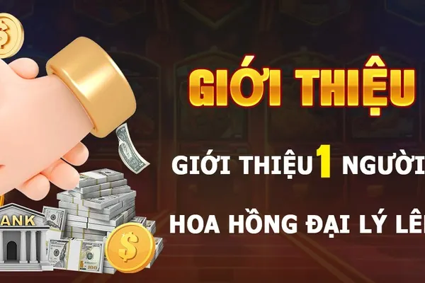 Tổng quan chương trình liên kết zon club