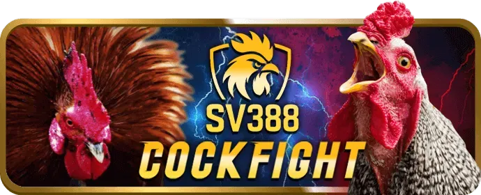 Bảo mật Sum Club