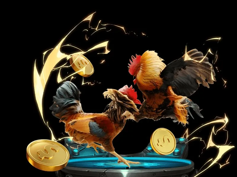 Truy cập trang chủ zon club